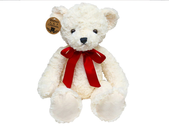 泰迪熊毛公仔 - Barnes & Coleman 經典白色 Teddy Bear - L98576 Photo